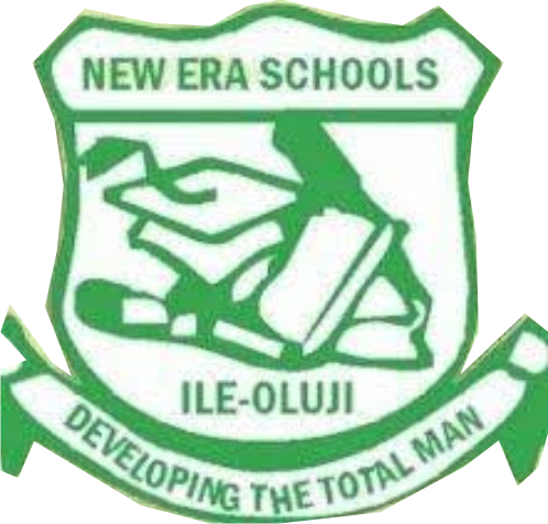 NewEra logo