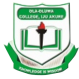 Olaoluwa logo